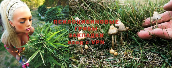 таблы Алексин
